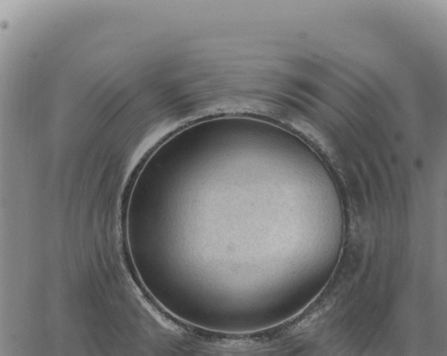 X0000063480894200601271652