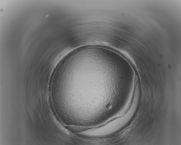 X0000063480895200601271652