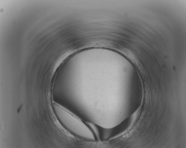 X0000063480896200601271652