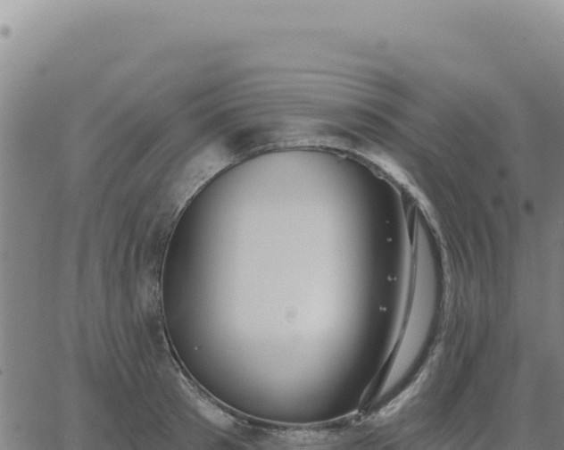 X0000063480897200601271652