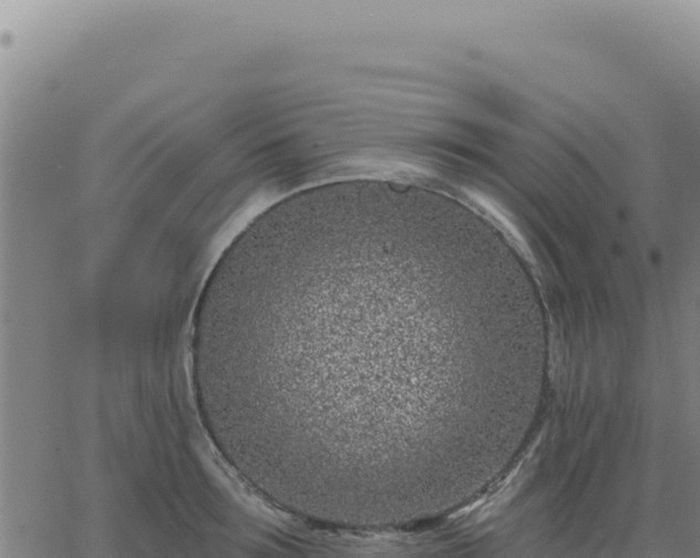 X0000063480899200601271652