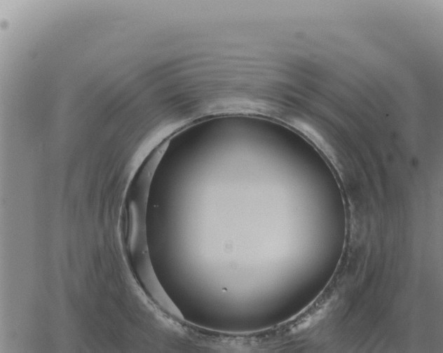 X0000063480901200601271652