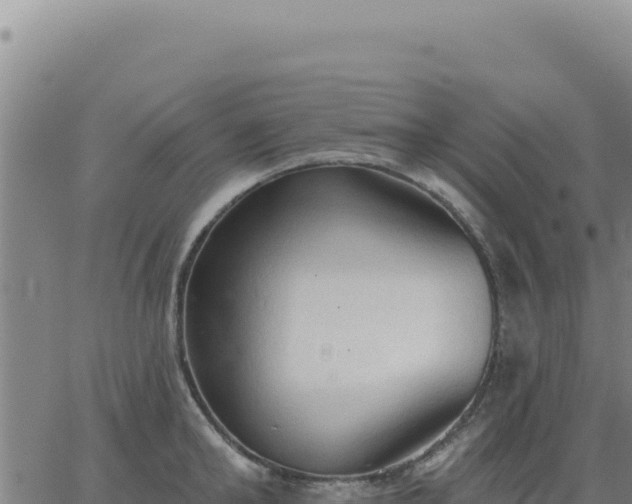 X0000063480902200601271652