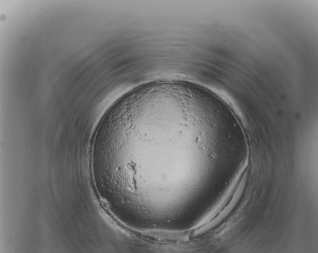 X0000063480903200601271652