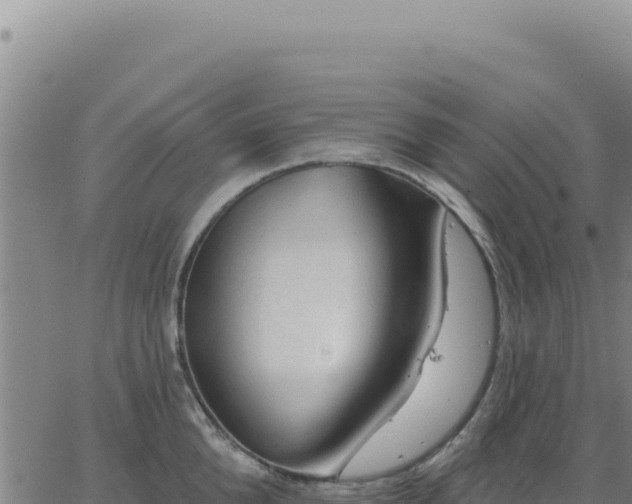 X0000063480904200601271651