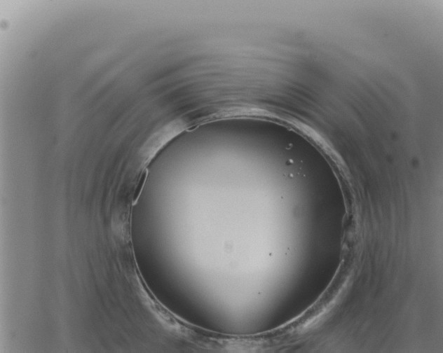 X0000063480905200601271651