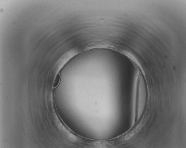 X0000063480906200601271651