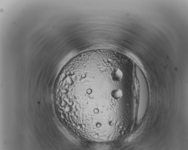 X0000063480907200601271651