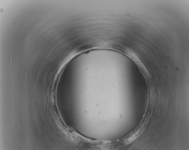 X0000063480908200601271651