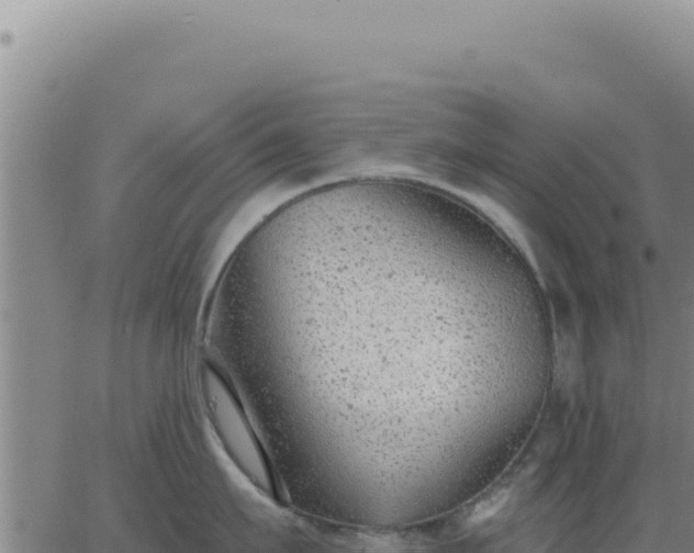 X0000063480911200601271651