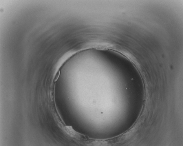 X0000063480912200601271651