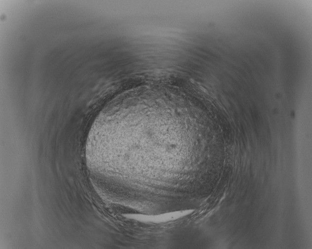 X0000063480913200601271651