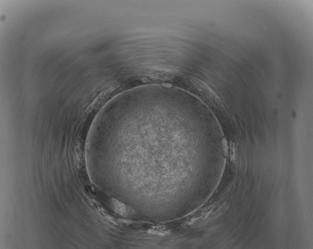 X0000063480915200601271651