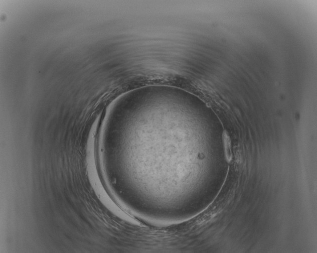 X0000063480916200601271651