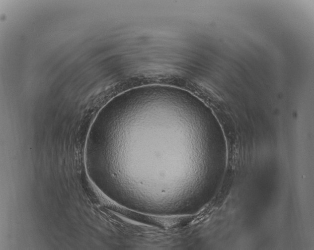 X0000063480917200601271651