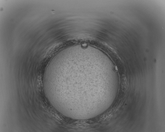 X0000063480918200601271651