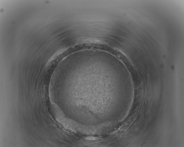 X0000063480919200601271651