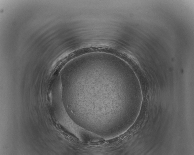 X0000063480920200601271651