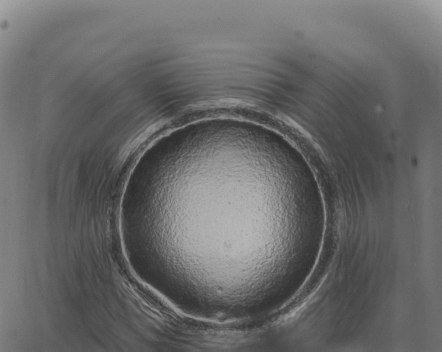 X0000063480921200601271651