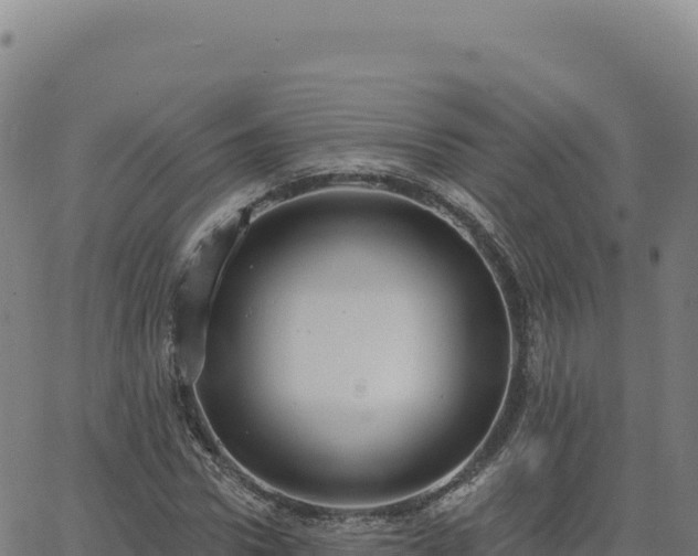 X0000063480922200601271651