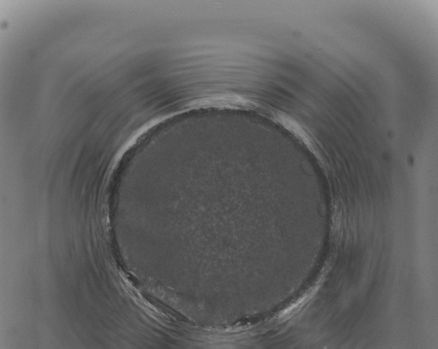 X0000063480923200601271651