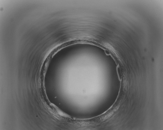 X0000063480924200601271651