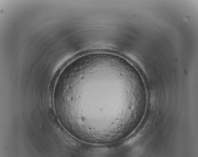 X0000063480925200601271651