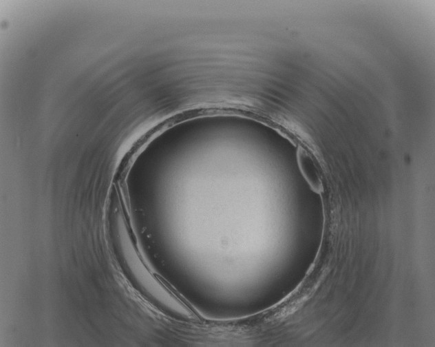 X0000063480928200601271651