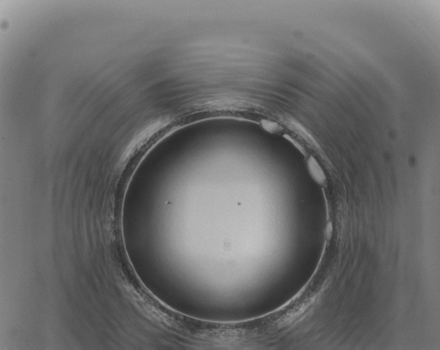 X0000063480930200601271651