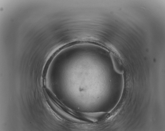 X0000063480932200601271651