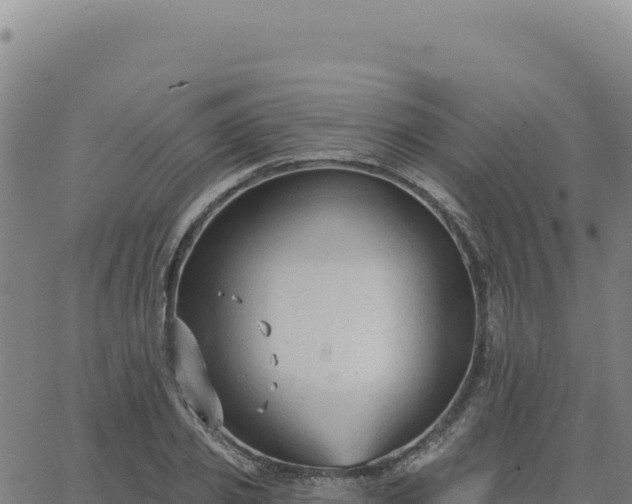 X0000063480933200601271651