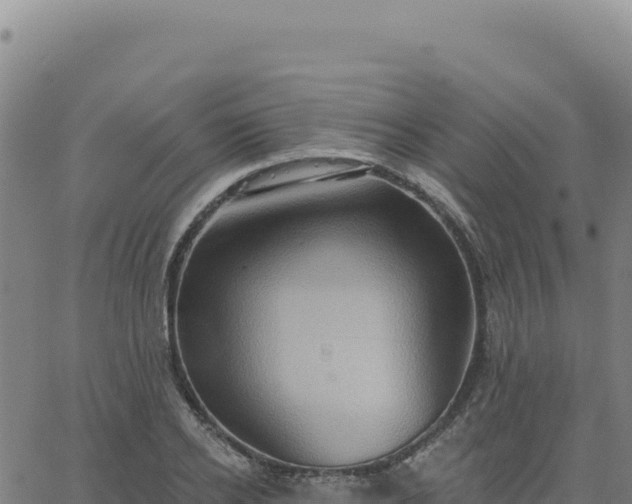 X0000063480934200601271651