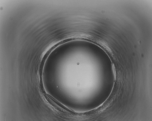 X0000063480936200601271651