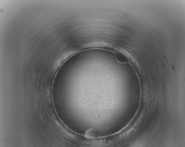 X0000063480937200601271651