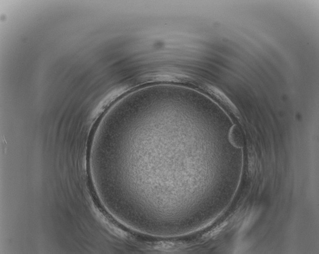 X0000063480938200601271651