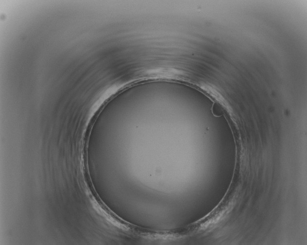 X0000063480941200601271651