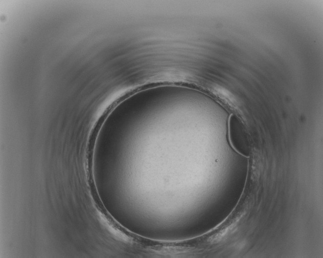 X0000063480942200601271651