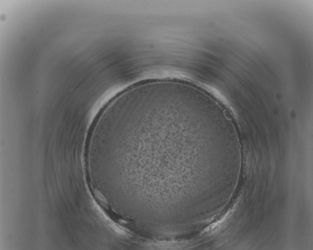 X0000063480943200601271651