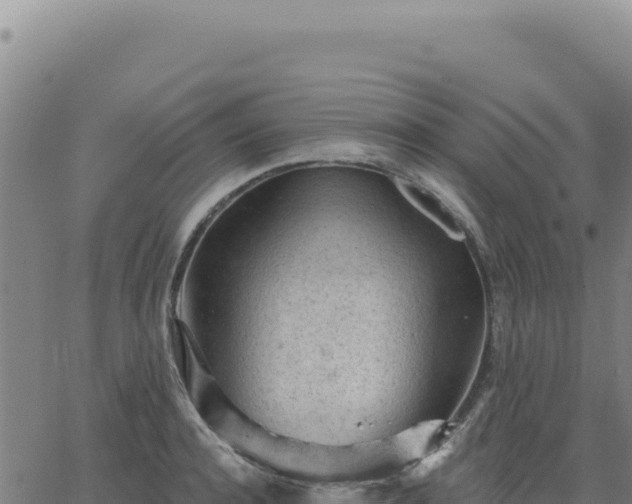 X0000063480944200601271651