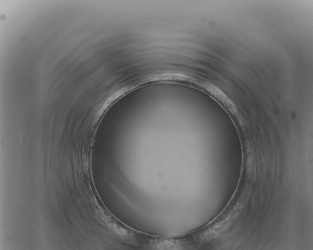 X0000063480945200601271651