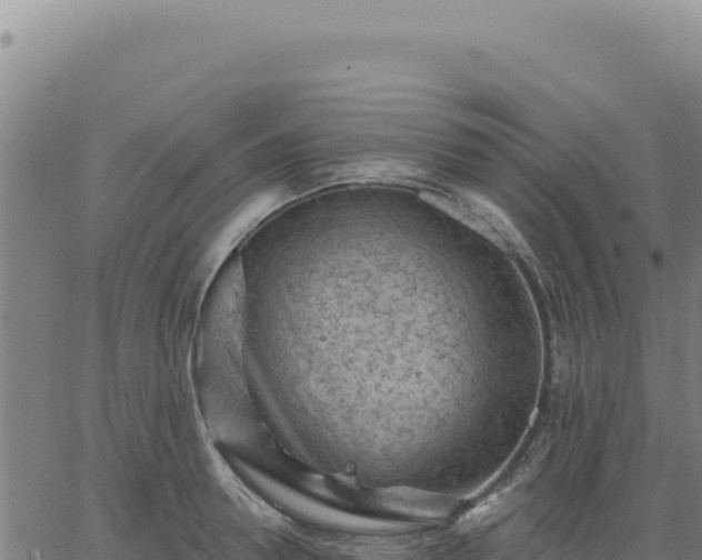 X0000063480946200601271651