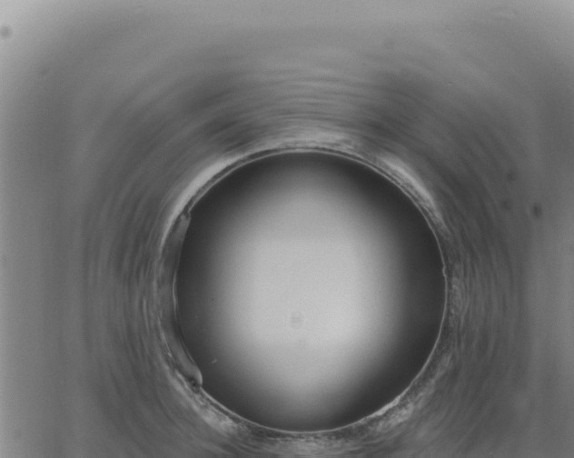 X0000063480948200601271651