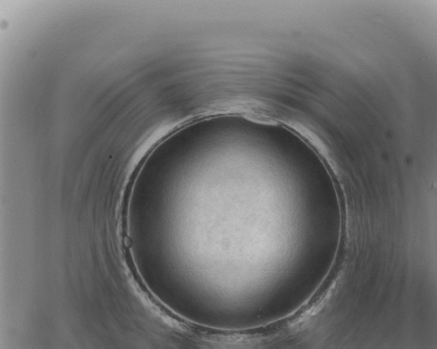 X0000063480949200601271651