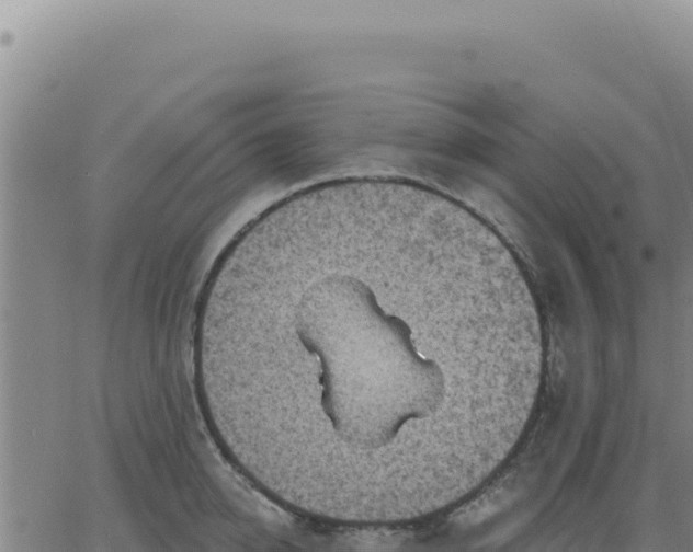 X0000063480950200601271651