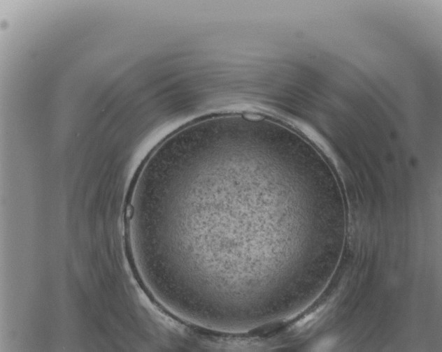 X0000063480951200601271651