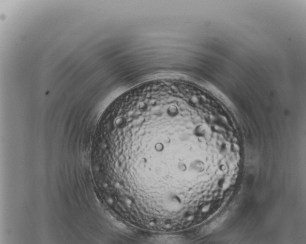 X0000063480953200601271651