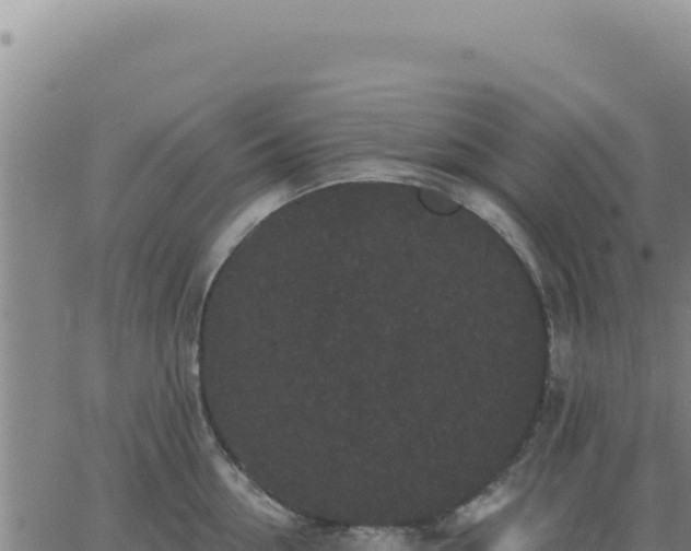 X0000063480954200601271651