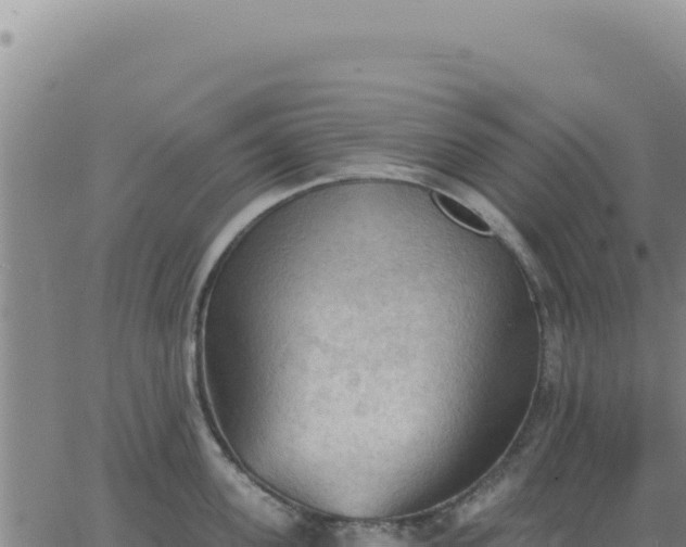 X0000063480955200601271651