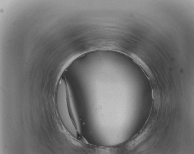 X0000063480956200601271651