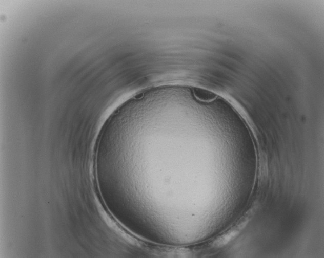 X0000063480957200601271651